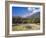 Olive Groves, Cephalonia, Ionian Islands, Greece, Europe-Jonathan Hodson-Framed Photographic Print