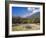 Olive Groves, Cephalonia, Ionian Islands, Greece, Europe-Jonathan Hodson-Framed Photographic Print