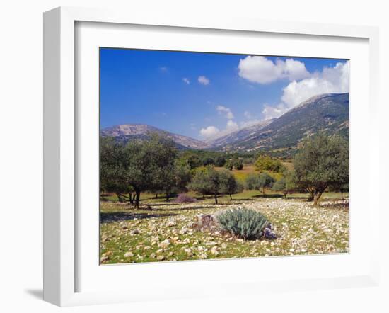 Olive Groves, Cephalonia, Ionian Islands, Greece, Europe-Jonathan Hodson-Framed Photographic Print