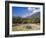 Olive Groves, Cephalonia, Ionian Islands, Greece, Europe-Jonathan Hodson-Framed Photographic Print