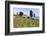 Olive Groves, Cercina, Firenze Province, Firenze, Tuscany, Italy-Nico Tondini-Framed Photographic Print