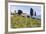 Olive Groves, Cercina, Firenze Province, Firenze, Tuscany, Italy-Nico Tondini-Framed Photographic Print