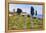 Olive Groves, Cercina, Firenze Province, Firenze, Tuscany, Italy-Nico Tondini-Framed Premier Image Canvas