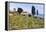 Olive Groves, Cercina, Firenze Province, Firenze, Tuscany, Italy-Nico Tondini-Framed Premier Image Canvas