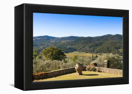 Olive Groves, Greve in Chianti, Chianti, Florence Province, Tuscany, Italy-Nico Tondini-Framed Premier Image Canvas