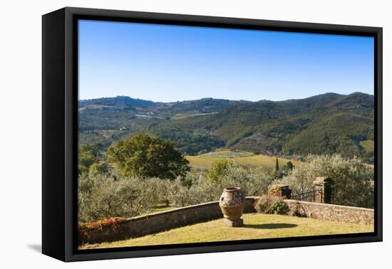 Olive Groves, Greve in Chianti, Chianti, Florence Province, Tuscany, Italy-Nico Tondini-Framed Premier Image Canvas