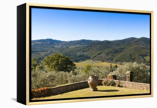 Olive Groves, Greve in Chianti, Chianti, Florence Province, Tuscany, Italy-Nico Tondini-Framed Premier Image Canvas