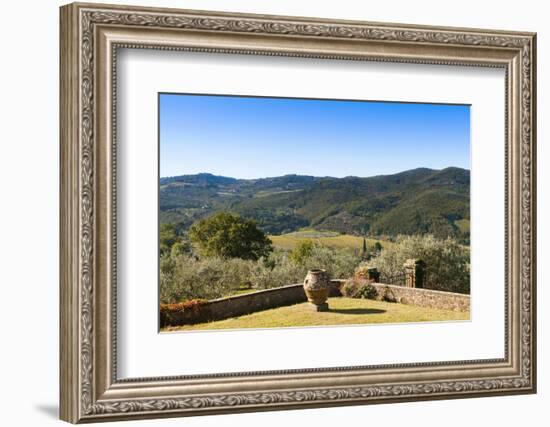 Olive Groves, Greve in Chianti, Chianti, Florence Province, Tuscany, Italy-Nico Tondini-Framed Photographic Print