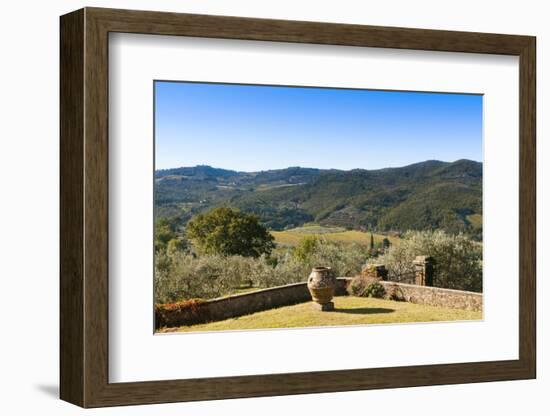 Olive Groves, Greve in Chianti, Chianti, Florence Province, Tuscany, Italy-Nico Tondini-Framed Photographic Print