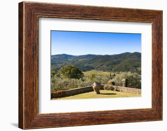 Olive Groves, Greve in Chianti, Chianti, Florence Province, Tuscany, Italy-Nico Tondini-Framed Photographic Print