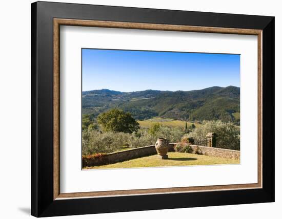 Olive Groves, Greve in Chianti, Chianti, Florence Province, Tuscany, Italy-Nico Tondini-Framed Photographic Print