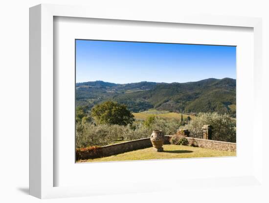 Olive Groves, Greve in Chianti, Chianti, Florence Province, Tuscany, Italy-Nico Tondini-Framed Photographic Print