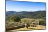 Olive Groves, Greve in Chianti, Chianti, Florence Province, Tuscany, Italy-Nico Tondini-Mounted Photographic Print