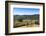 Olive Groves, Greve in Chianti, Chianti, Florence Province, Tuscany, Italy-Nico Tondini-Framed Photographic Print