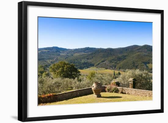 Olive Groves, Greve in Chianti, Chianti, Florence Province, Tuscany, Italy-Nico Tondini-Framed Photographic Print