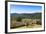 Olive Groves, Greve in Chianti, Chianti, Florence Province, Tuscany, Italy-Nico Tondini-Framed Photographic Print