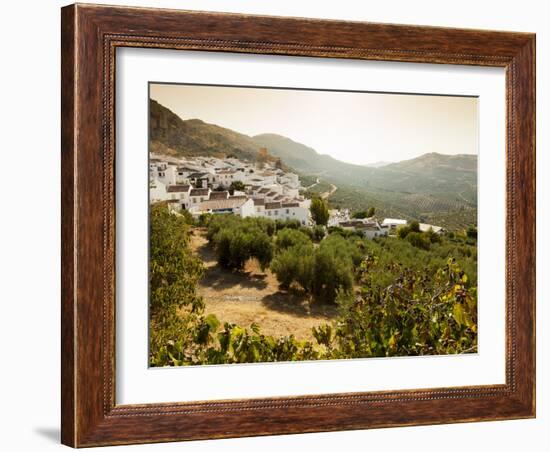 Olive Groves, Zuheros, Near Cordoba, Andalucia, Spain, Europe-Giles Bracher-Framed Photographic Print