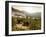 Olive Groves, Zuheros, Near Cordoba, Andalucia, Spain, Europe-Giles Bracher-Framed Photographic Print