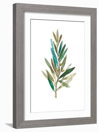 Olive III-Asia Jensen-Framed Art Print