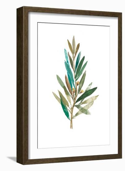 Olive III-Asia Jensen-Framed Art Print