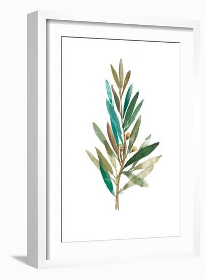 Olive III-Asia Jensen-Framed Art Print