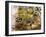 Olive Oil and Olives-null-Framed Photographic Print