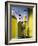 Olive Oil in Bottles-Luzia Ellert-Framed Photographic Print