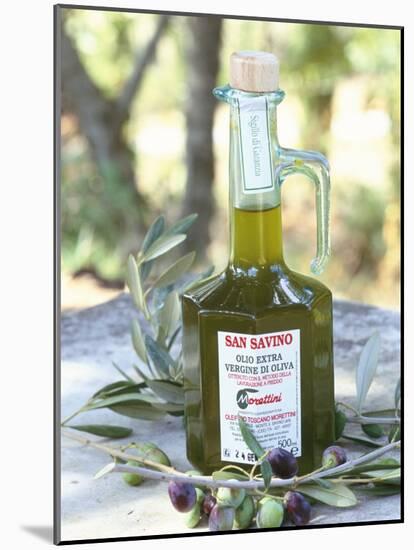 Olive Oil, Tuscany, Italy-Bruno Morandi-Mounted Photographic Print
