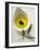 Olive Oil with Olive in Bowl, Olive Branch Beside It-null-Framed Photographic Print