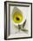 Olive Oil with Olive in Bowl, Olive Branch Beside It-null-Framed Photographic Print