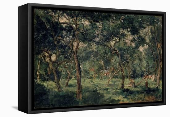 Olive Orchard, Early 1870S-Charles François Daubigny-Framed Premier Image Canvas