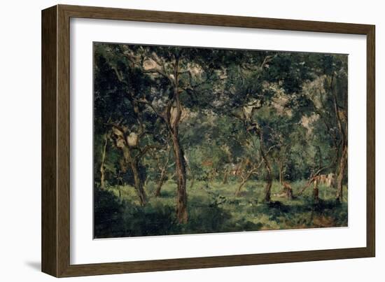 Olive Orchard, Early 1870S-Charles François Daubigny-Framed Giclee Print