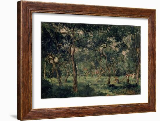 Olive Orchard, Early 1870S-Charles François Daubigny-Framed Giclee Print