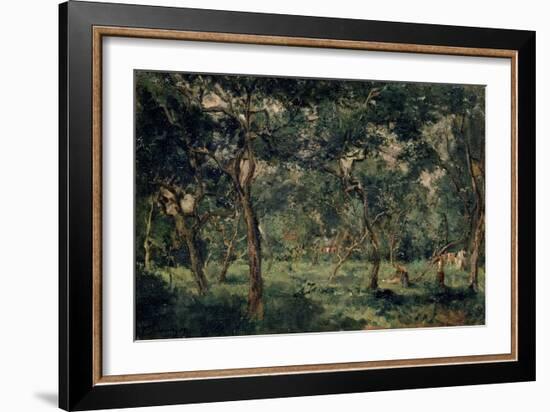 Olive Orchard, Early 1870S-Charles François Daubigny-Framed Giclee Print