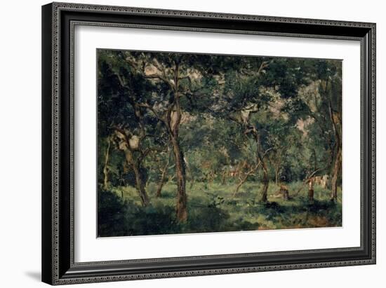 Olive Orchard, Early 1870S-Charles François Daubigny-Framed Giclee Print