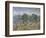 Olive Orchard, Violet Soil-Vincent van Gogh-Framed Giclee Print