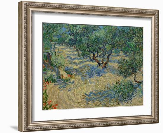 Olive Orchard-Vincent van Gogh-Framed Giclee Print