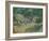 Olive Orchard-Vincent van Gogh-Framed Giclee Print