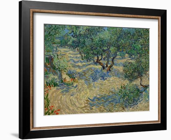 Olive Orchard-Vincent van Gogh-Framed Giclee Print