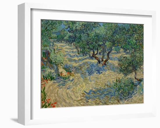 Olive Orchard-Vincent van Gogh-Framed Giclee Print