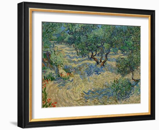 Olive Orchard-Vincent van Gogh-Framed Giclee Print