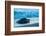 Olive ridley turtle coming ashore at dusk to lay eggs, Mexico-Tui De Roy-Framed Photographic Print