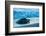 Olive ridley turtle coming ashore at dusk to lay eggs, Mexico-Tui De Roy-Framed Photographic Print