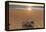 Olive Ridley Turtle Hatchling, Baja, Mexico-Paul Souders-Framed Premier Image Canvas