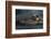 Olive ridley turtle hatchling emerging from egg, Mexico-Tui De Roy-Framed Photographic Print