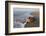 olive ridley turtle returning to ocean after mass nesting event-claudio contreras-Framed Photographic Print