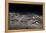 Olive ridley turtles coming ashore at dawn to lay eggs, Mexico-Tui De Roy-Framed Premier Image Canvas