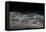 Olive ridley turtles coming ashore at dawn to lay eggs, Mexico-Tui De Roy-Framed Premier Image Canvas