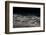 Olive ridley turtles coming ashore at dawn to lay eggs, Mexico-Tui De Roy-Framed Photographic Print