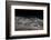 Olive ridley turtles coming ashore at dawn to lay eggs, Mexico-Tui De Roy-Framed Photographic Print